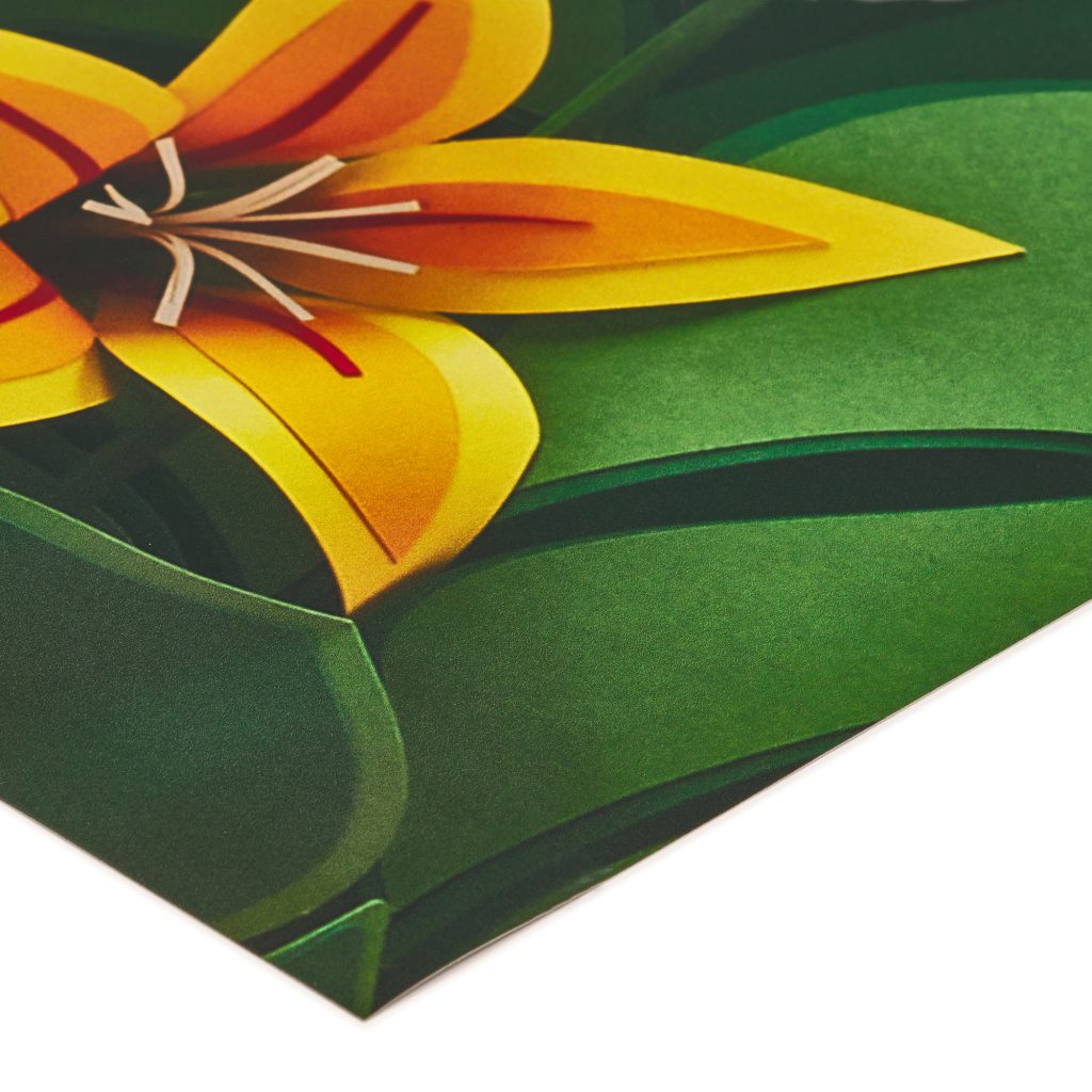 Impression de echantillon papier peint professionnelle par BDX Print
