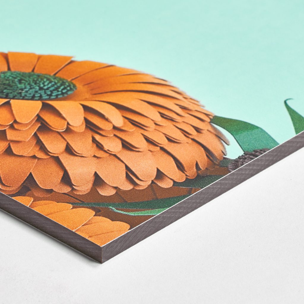 Impression de hpl trespa professionnelle par BDX Print