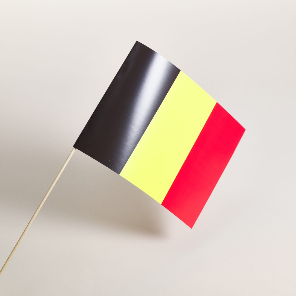 Impression de petit drapeau professionnelle par BDX Print