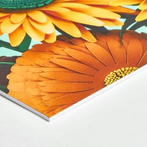 Exemple de photo sur carton mousse pvc imprimé en qualité professionnelle