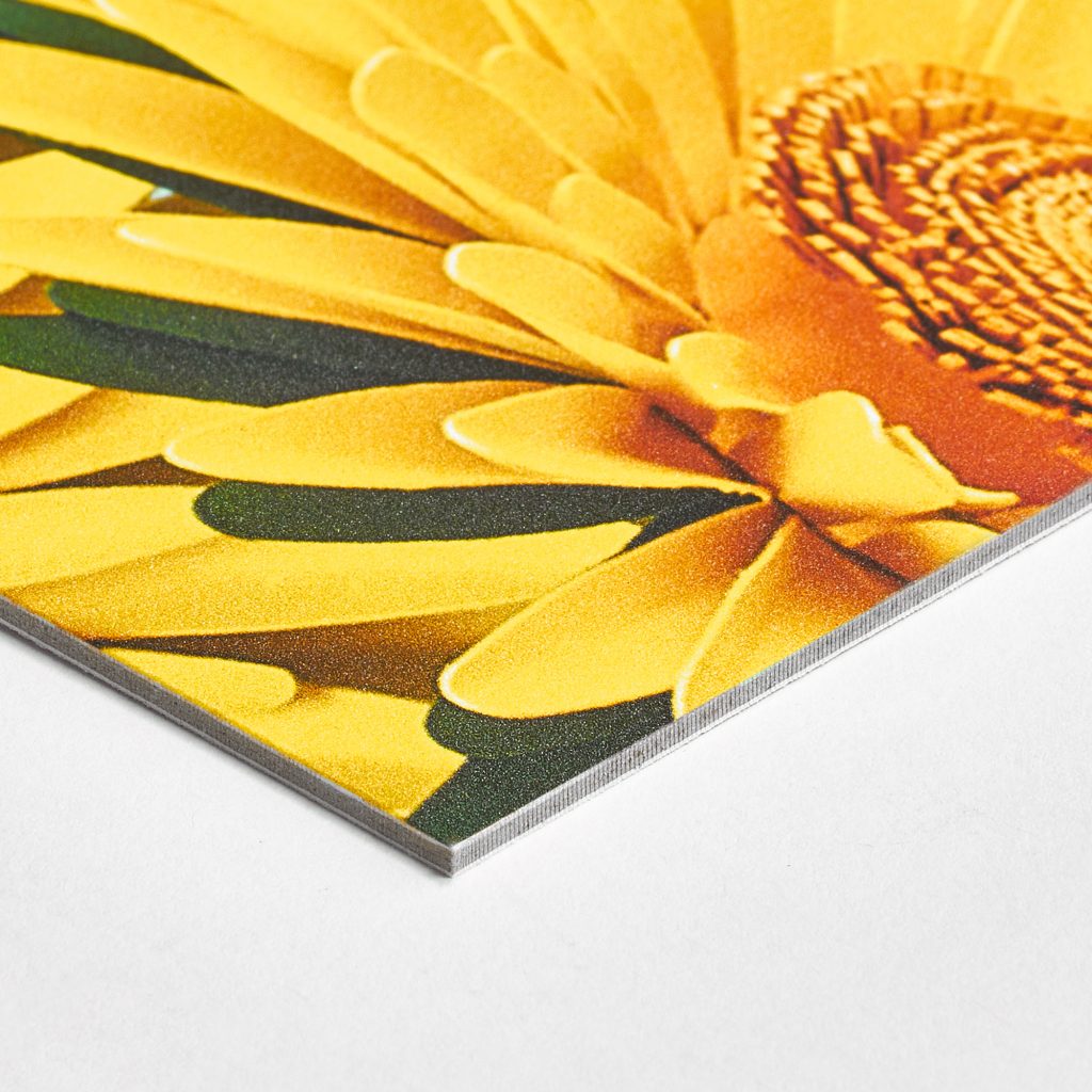 Impression de photo sur papier carte professionnelle par BDX Print