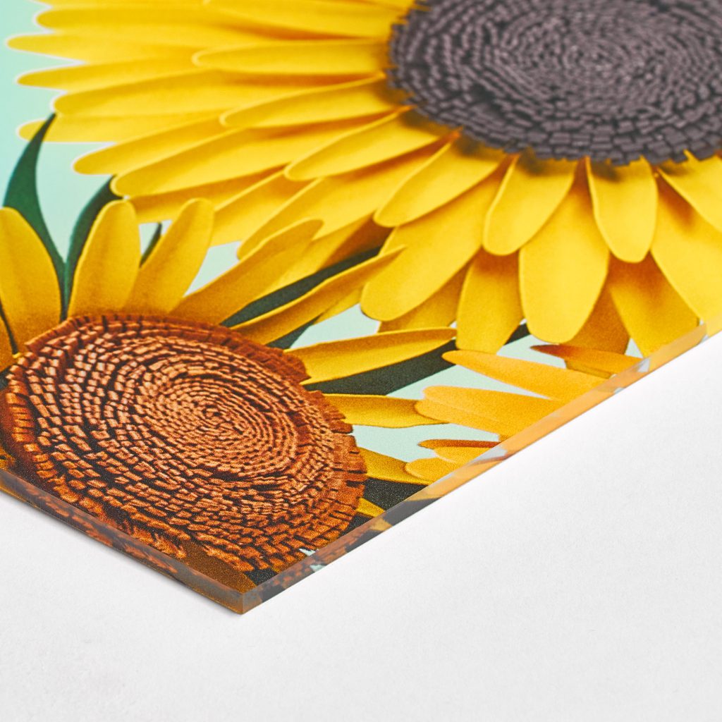 Impression de photo sur plexiglas professionnelle par BDX Print