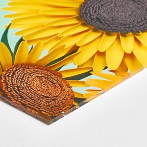 Exemple de photo sur plexiglas imprimé en qualité professionnelle
